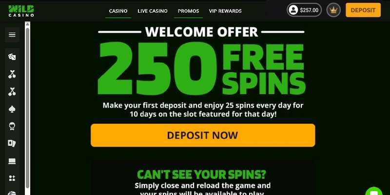Wild Casino 250 free spins welcome offer banner
