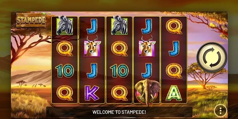 stampede slot
