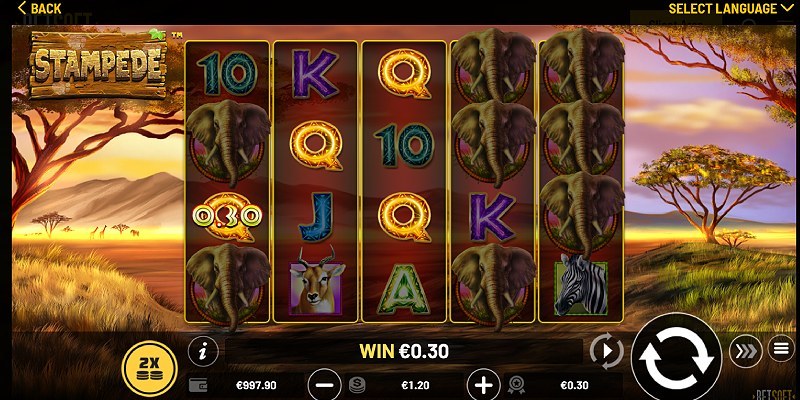 stampede slot
